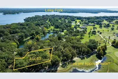 Lot 63-64 Private Road 5939, Emory, TX 75440 - Photo 3