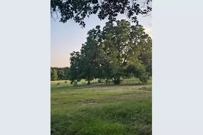 20086 County Road 299, Arp, TX 75750 - Photo 5