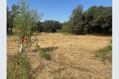 379 & 401 Cr 167, Whitesboro, TX 76273 - Photo 3