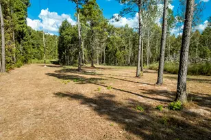 7752 Fm 2888, Naples, TX 75568 - Photo 27
