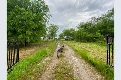 37444 State Highway 64, Wills Point, TX 75169 - Photo 5