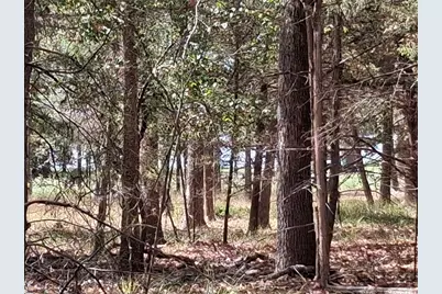 Tbd Hideaway, Murchison, TX 75778 - Photo 1