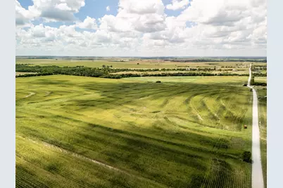 11 Acres County Rd 3150, Hubbard, TX 76648 - Photo 7