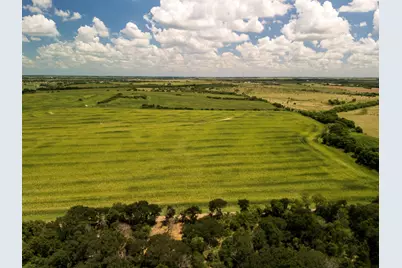 11 Acres County Rd 3150, Hubbard, TX 76648 - Photo 17