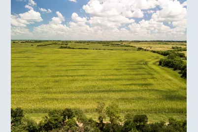 11 Acres County Rd 3150, Hubbard, TX 76648 - Photo 19