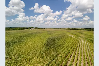 Tract 2 County Rd 3307, Hubbard, TX 76648 - Photo 9