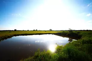316 Flowing Wells Rd, Pottsboro, TX 75076 - Photo 1