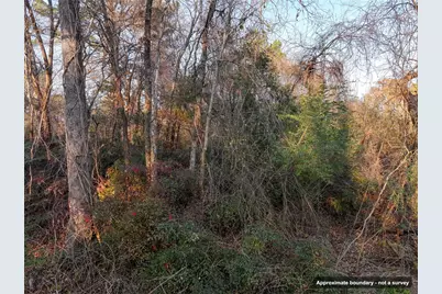 144 Circle Drive, Quitman, TX 75783 - Photo 15
