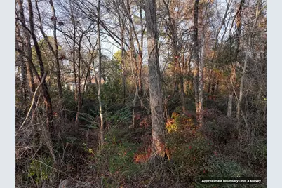 144 Circle Drive, Quitman, TX 75783 - Photo 17