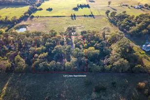 581 Vz County Rd 4223, Athens, TX 75752 - Photo 31