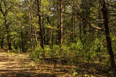4 Acres Tiffany Lane, Whitesboro, TX 76273 - Photo 3