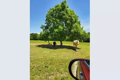 0000 Hwy 276, Point, TX 75472 - Photo 27