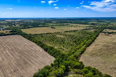 1 County Road 3505, Pecan Gap, TX 75469 - Photo 7