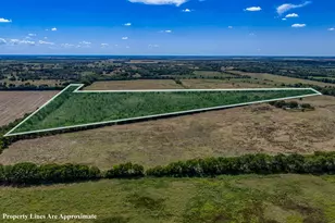 1 County Road 3505, Pecan Gap, TX 75469 - Photo 1