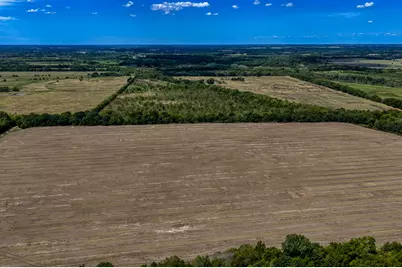 1 County Road 3505, Pecan Gap, TX 75469 - Photo 5