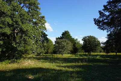 12641 Private Road 5104, Athens, TX 75751 - Photo 3
