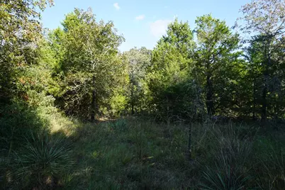 12641 Private Road 5104, Athens, TX 75751 - Photo 13