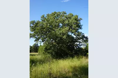 12641 Private Road 5104, Athens, TX 75751 - Photo 23