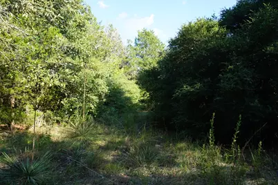 12641 Private Road 5104, Athens, TX 75751 - Photo 11