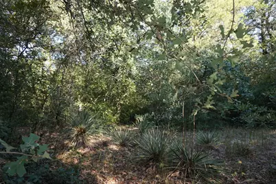 12641 Private Road 5104, Athens, TX 75751 - Photo 33