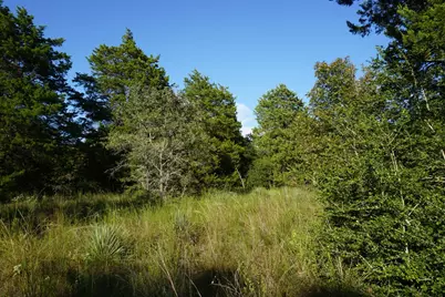 12641 Private Road 5104, Athens, TX 75751 - Photo 19