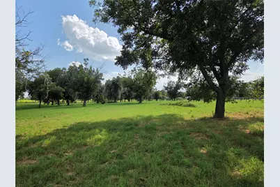 10005 Orchards Boulevard, Cleburne, TX 76033 - Photo 3