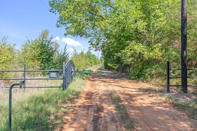 Tbd County Road 8987, Ben Wheeler, TX 75754 - Photo 3