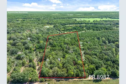 Tbd County Road 8987, Ben Wheeler, TX 75754 - Photo 1