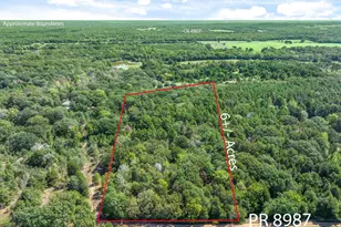 Tbd County Road 8987, Ben Wheeler, TX 75754 - Photo 1