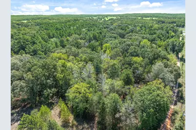 Tbd County Road 8987, Ben Wheeler, TX 75754 - Photo 9