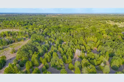 Tbd 13.112 Ac SE Cr 4240, Kerens, TX 75144 - Photo 29