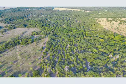 Tbd 13.112 Ac SE Cr 4240, Kerens, TX 75144 - Photo 17