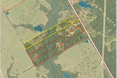 Tbd 13.112 Ac SE Cr 4240, Kerens, TX 75144 - Photo 3
