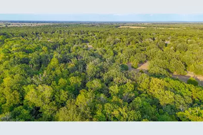Tbd 13.112 Ac SE Cr 4240, Kerens, TX 75144 - Photo 33