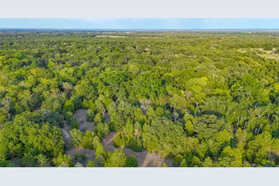 Tbd 13.112 Ac SE Cr 4240, Kerens, TX 75144 - Photo 31