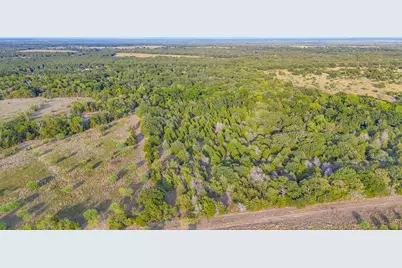 Tbd 13.112 Ac SE Cr 4240, Kerens, TX 75144 - Photo 25