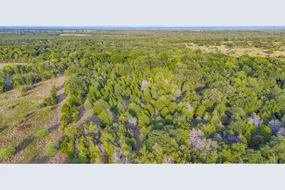 Tbd 13.112 Ac SE Cr 4240, Kerens, TX 75144 - Photo 27