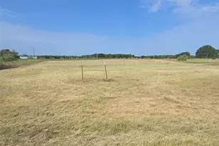 1275 Deerfield Dr, Wills Point, TX 75169 - Photo 1