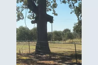 5047 N Fm 17, Alba, TX 75410 - Photo 23