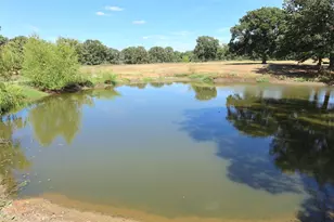 1111 Riley Rd, Whitesboro, TX 76273 - Photo 27
