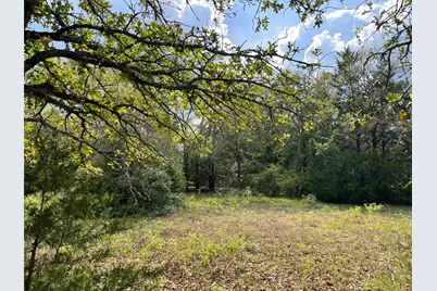 Tbd Cr 161, Fairfield, TX 75840 - Photo 3