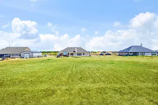 142 Lonicera Ln, Paradise, TX 76073 - Photo 29