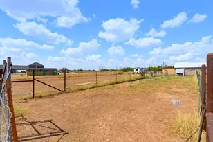 8369 Spinks Rd, Abilene, TX 79603 - Photo 31