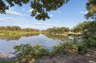 1511 Aspen Xing, Oak Point, TX 75068 - Photo 35
