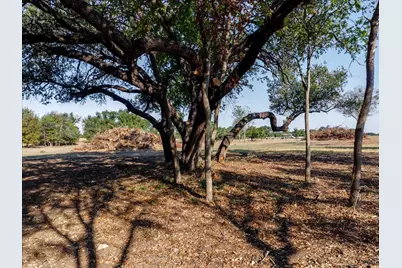 2768 Live Oak Road, Santo, TX 76472 - Photo 3