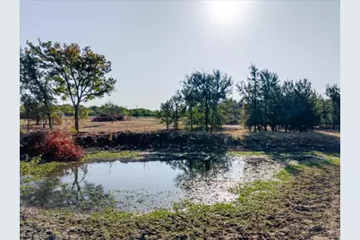 2768 Live Oak Road, Santo, TX 76472 - Photo 7