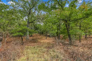 Lot 296 Silver Leaf, Sunset, TX 76270 - Photo 1