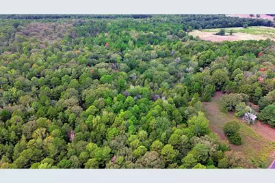 448 County Road 3955, Mineola, TX 75773 - Photo 39