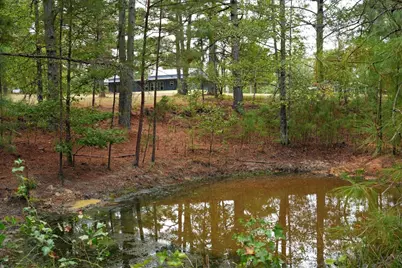 448 County Road 3955, Mineola, TX 75773 - Photo 35