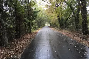 Rains County Rd, Emory, TX 75440 - Photo 1